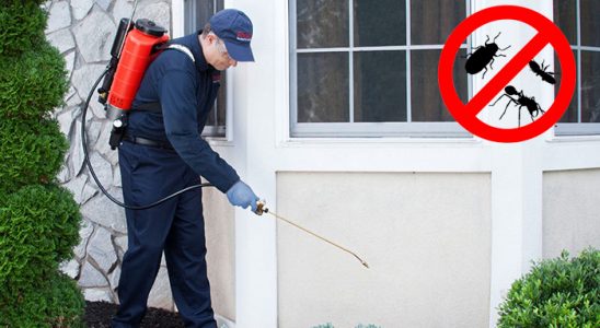 Hayrat Fare İlaçlama böcek ilaçlama ve haşere kontrolü — ilaclama-tr.com